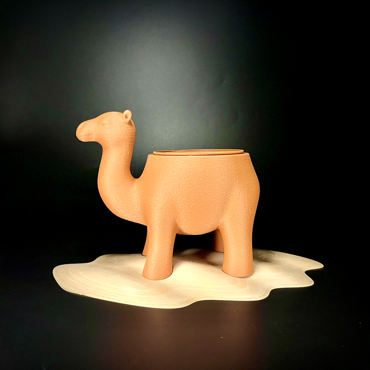 Camelpot - thumbnail 7